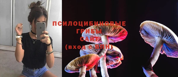амф Бугульма