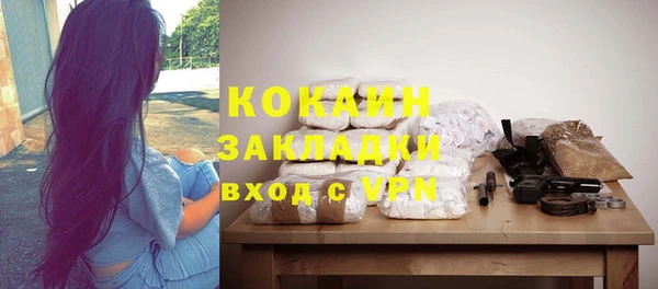 шишки Бронницы
