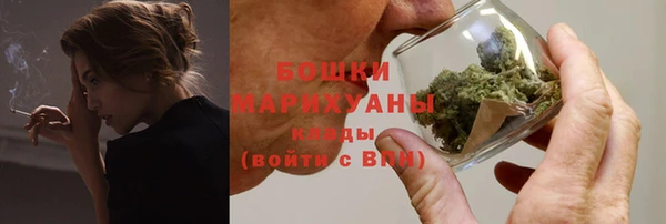 шишки Бронницы