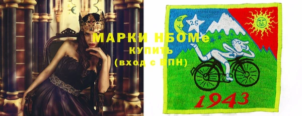 шишки Бронницы