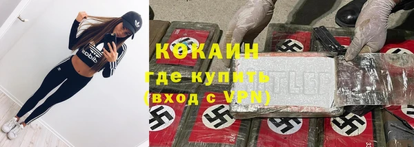 шишки Бронницы