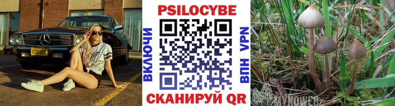 Галлюциногенные грибы Cubensis  магазин    Гусь-Хрустальный 
